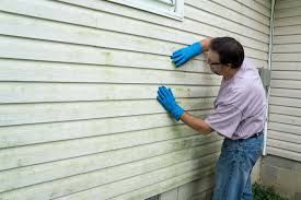 Best Insulated Siding Installation  in Luxemburg, WI